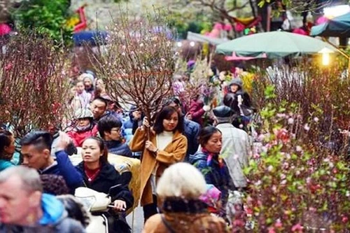 Hà Nội tổ chức 91 điểm chợ hoa Xuân phục vụ Tết Nguyên đán Quý Mão 2023