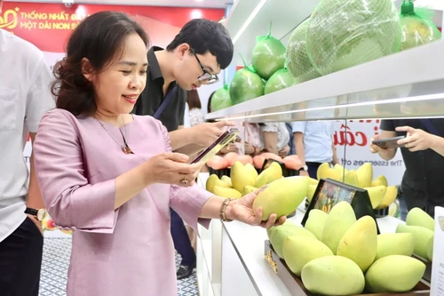 Mở cửa phòng trưng bày “Tinh hoa trái cây Việt”