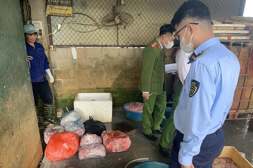 Lợn bệnh, cá chết… “ào ào” đổ ra thị trường dịp cuối năm