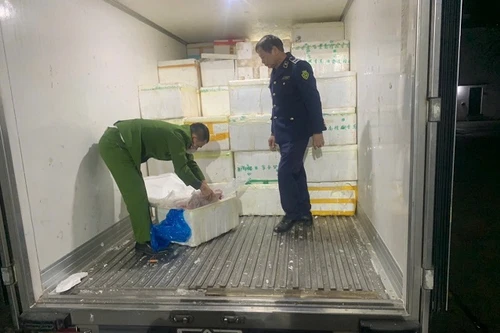 Hà Nội: Tạm giữ 7 tấn lòng lợn không rõ nguồn gốc, xuất xứ