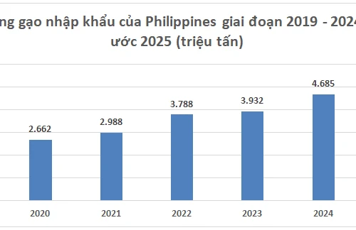 Philippines có thể nhập 4,35 triệu tấn gạo từ Việt Nam