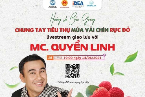 19h hôm nay (14-6), nghệ sĩ Quyền Linh livestream hỗ trợ tiêu thụ vải thiều Bắc Giang 