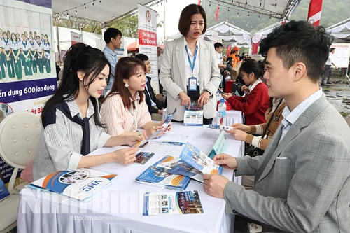 Thu nhập bình quân của người lao động quý II giảm so với quý đầu năm