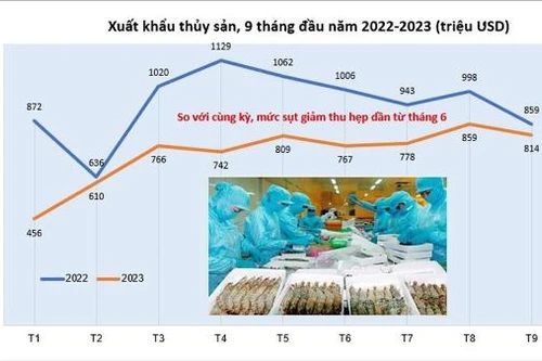 Xuất khẩu thủy sản có thể đạt 9 tỷ USD cả năm
