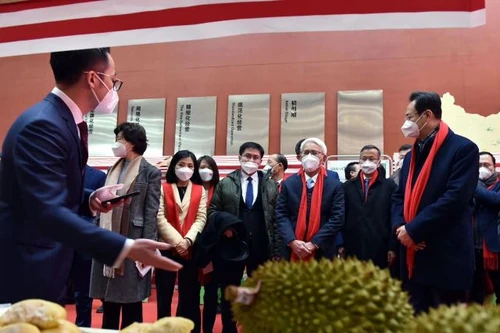 Giới thiệu trái cây và sầu riêng Việt Nam tại Thiên Tân, Trung Quốc