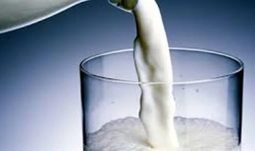 Việt Nam có thể gia tăng xuất khẩu sữa sang Singapore 