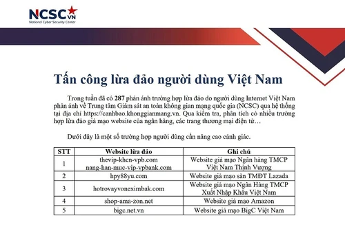Nhiều website ngân hàng, ví điện tử bị giả mạo