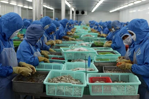 Tín dụng "đen" quấy nhiễu, đe dọa lãnh đạo doanh nghiệp thủy sản