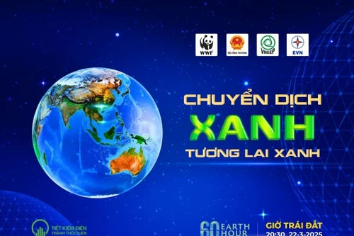 Một giờ tắt đèn, tiết kiệm gần 1 tỷ đồng tiền điện