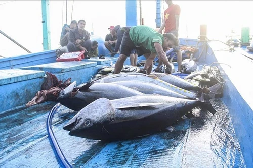 Việt Nam đề nghị Hoa Kỳ xem xét khách quan về thương mại thủy sản