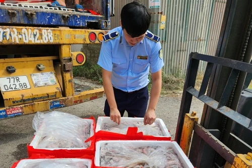 Phát hiện trên 4,5 tấn cá khoai dương tính với chất formol