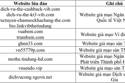 Các website giả mạo, lừa đảo nào người dùng Internet cần tránh?