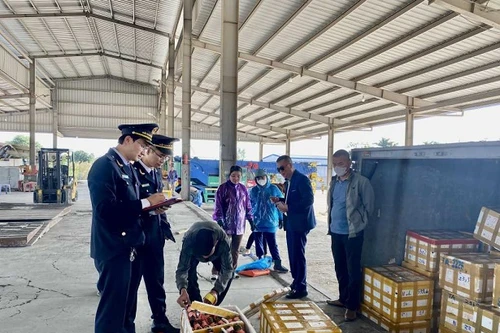  Hàng nông sản Việt Nam xuất khẩu sang Trung Quốc qua cửa khẩu đạt hàng trăm triệu USD trong dịp Tết