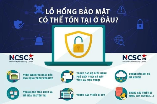 Mỗi tuần có thêm 50-70 lỗ hổng bảo mật mới