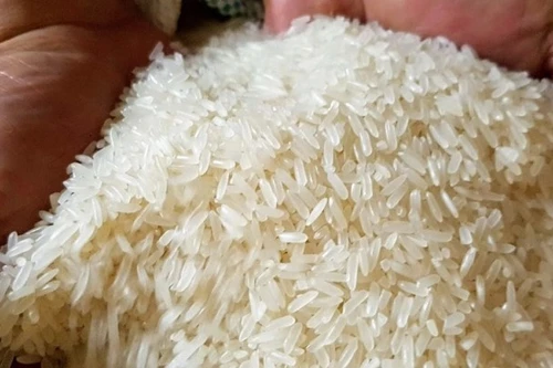 Indonesia cần thêm 1,5 triệu tấn gạo dự trữ quốc gia trong năm 2023