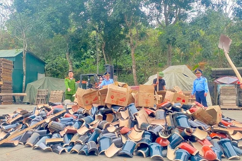 Phạt 90 triệu đồng, buộc tiêu hủy 11.120 viên ngói giả mạo nhãn hiệu Viglacera, Prime