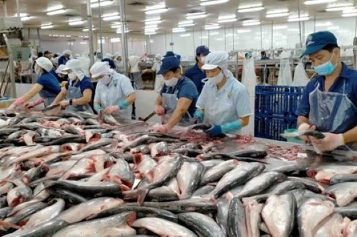 Thủy sản Việt Nam lần đầu giữ vị trí top 3 xuất khẩu lớn nhất vào Singapore