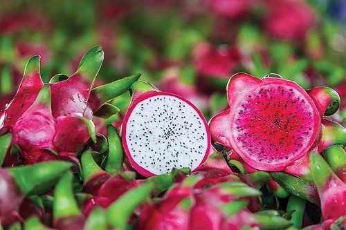 Sầu riêng, thanh long, đậu bắp… xuất sang EU sẽ bị tăng tần suất kiểm tra