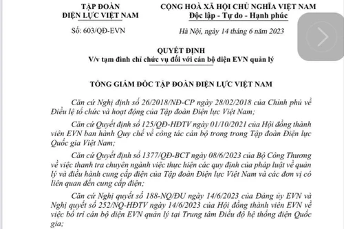 Tạm đình chỉ chức vụ Giám đốc Trung tâm Điều độ hệ thống điện Quốc gia