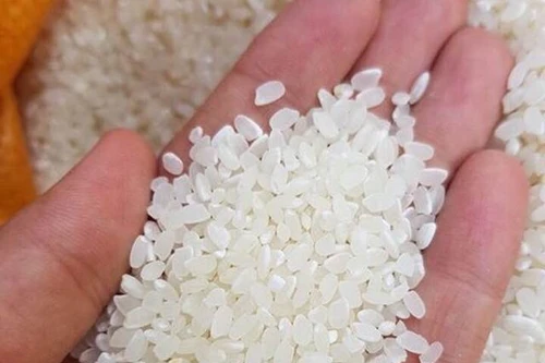 Thêm doanh nghiệp muốn nhập khẩu gạo chất lượng cao từ Việt Nam