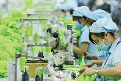 Mỹ áp thuế đối ứng 46%: Cục Thống kê khuyến nghị gì?