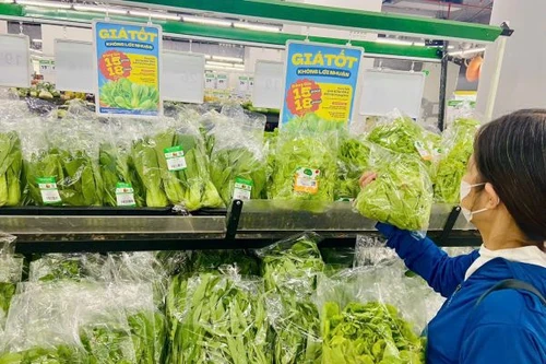 Giữa “cơn bão” giá rau xanh, siêu thị tuyên bố bán không lợi nhuận