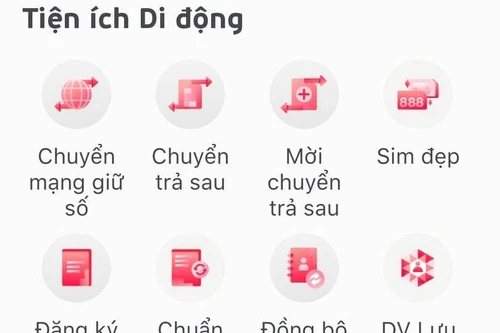 Cách nào kiểm tra thông tin thuê bao đã được chuẩn hóa chưa?