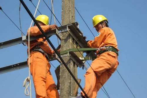 Yêu cầu xử lý vi phạm về quản lý, cung ứng điện