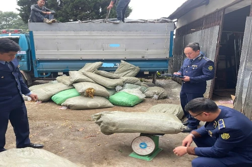 Bộ trưởng Công Thương: Tinh gọn bộ máy nhưng không bỏ trống thị trường