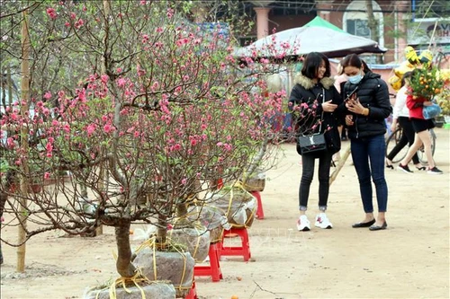 Tết Nhâm Dần 2022: Hà Nội tổ chức 78 điểm chợ hoa Xuân