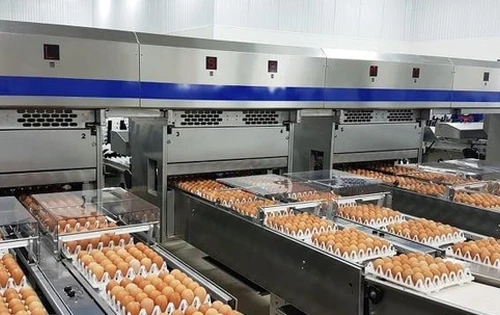 Tiếp tục nhập khẩu trứng gia cầm và muối trong năm 2024