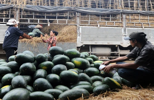 Giao thương với Trung Quốc: Trong "nguy" có "cơ"