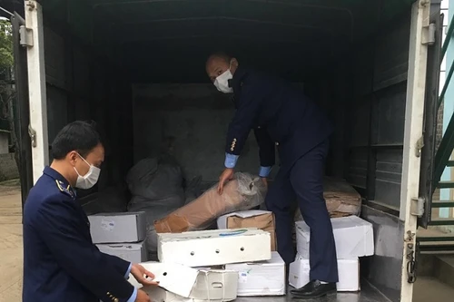 Sát Tết, liên tiếp phát hiện thực phẩm “bẩn” 