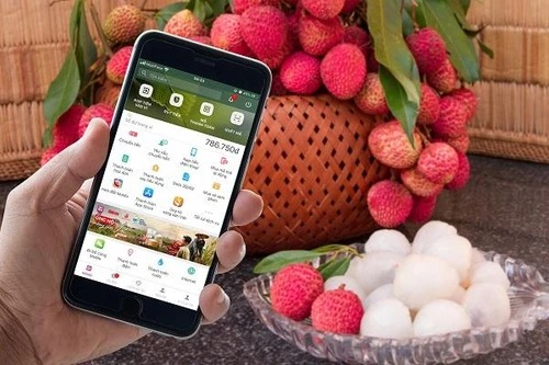 Đưa nông sản lên sàn thương mại điện tử còn nhỏ lẻ, hạn chế