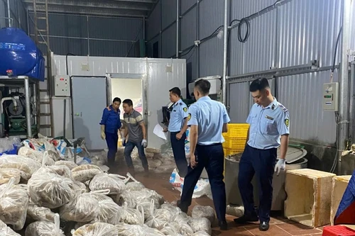 Hà Nội: Phát hiện gần 11 tấn thịt và nội tạng bò không rõ nguồn gốc