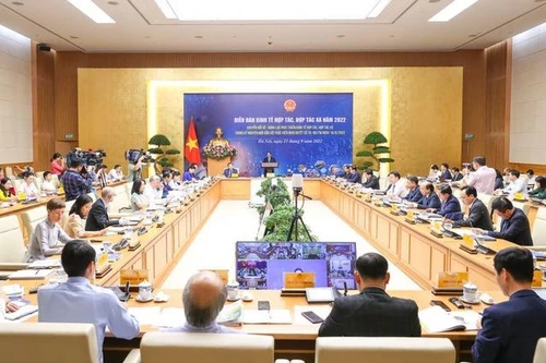 Sớm trình Chính phủ cơ chế đặc thù thúc đẩy chuyển đổi số hợp tác xã 