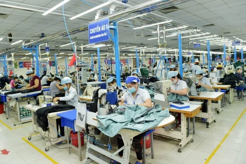 “Có thời điểm 60 nghìn lao động dệt may phải nghỉ việc 3 tháng”