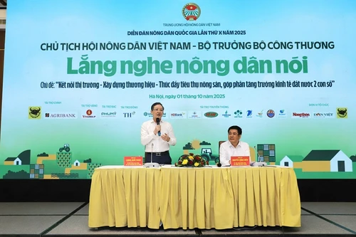 Tiêu thụ sản phẩm OCOP, hàng tốt nhưng mẫu mã phải phù hợp