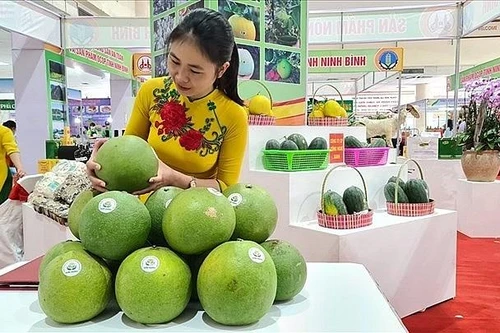 Giới thiệu đặc sản vùng miền Việt Nam tại Hà Nội