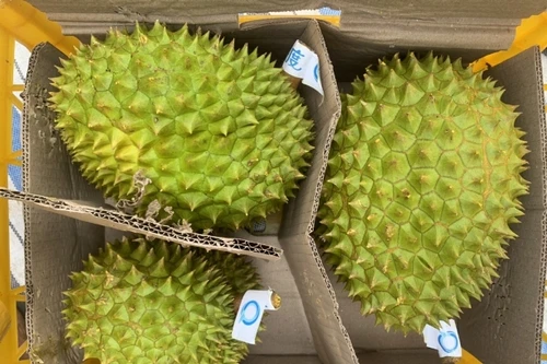 Kim ngạch xuất nhập khẩu Việt Nam - Trung Quốc vượt 100 tỷ USD 