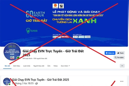 Xuất hiện Fanpage giả mạo EVN, lợi dụng chiến dịch Giờ Trái đất 2025
