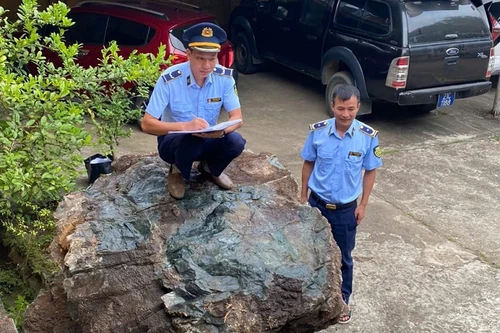 Tịch thu 9,6 tấn đá cảnh Suối Giàng đang được vận chuyển đi tiêu thụ