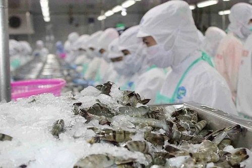 Mỹ áp thuế chống bán phá giá với tôm nhập khẩu từ Việt Nam