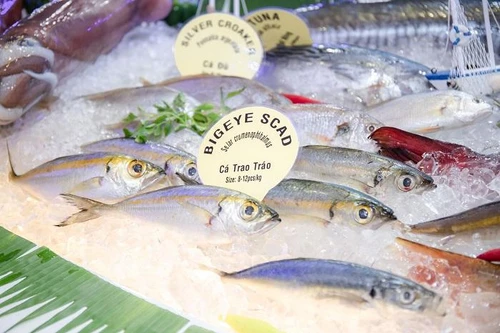 Thuỷ sản Việt Nam chiếm trên 7% thị phần thế giới