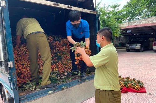Hành trình 8 tiếng đưa vải thiều Bắc Giang ra khỏi vùng dịch của những “chiến sĩ” mang áo màu cỏ úa