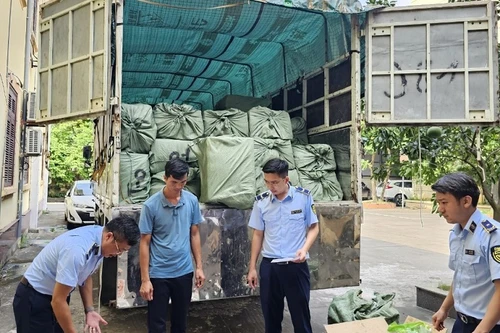 Gần 3 tấn thịt vịt và trứng gà non đông lạnh đang đi tiêu thụ thì bị tạm giữ