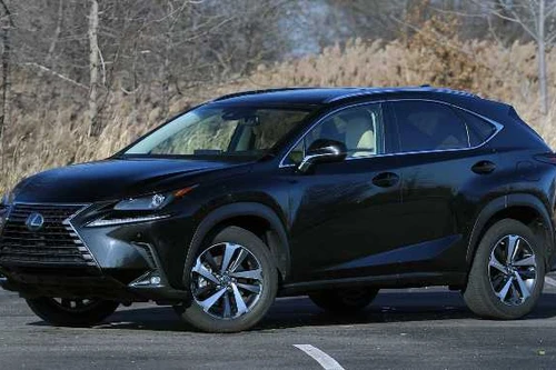 Xe sang Lexus bị triệu hồi vì lỗi kỹ thuật