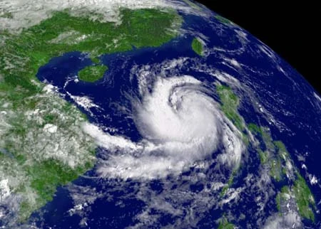 Ngành điện thiệt hại 47 tỷ đồng do bão số 6