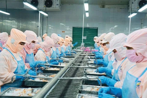 "Vua tôm" Minh Phú “thoát” thuế chống bán phá giá của Hoa Kỳ