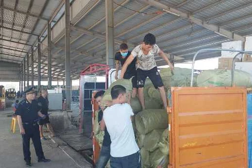 Hơn 990.000 tấn hàng xuất nhập khẩu qua cửa khẩu quốc tế Móng Cái 